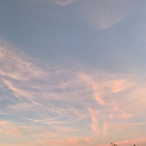 Meet your Posher, Eva